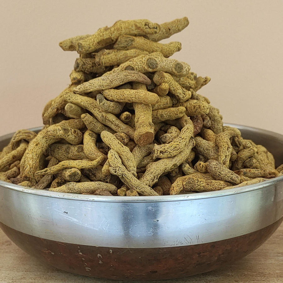 Whole-Turmeric-Roots-1-2